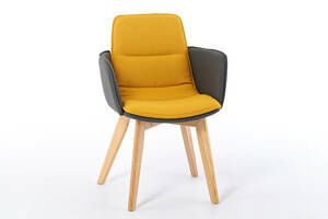 Unser Polstersessel Toskana AL hat Armlehnen Unser Polstersessel Toskana AL hat Armlehnen